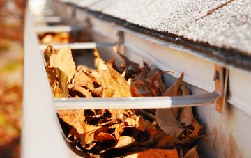 South Hanningfield gutter cleaning companies